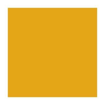 Папір для дизайну A4 Folia Fotokarton 21x29.7см №16 Темно-жовта 300г\м2 4823064981094 4823064981094 фото