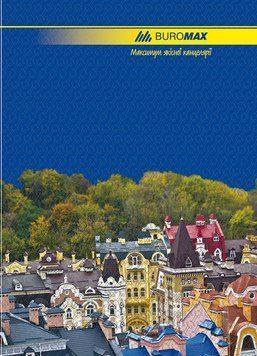 Канцелярська книга А4 Buromax 96 л. лінія лам.обл. для обліку BM.2401 BM.2401 фото
