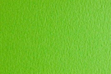 Папір для дизайну А4 Fabriano Elle Erre 21x29.7см №10 verde picello 220г/м2 салатова дві текстури 4823064981476 фото