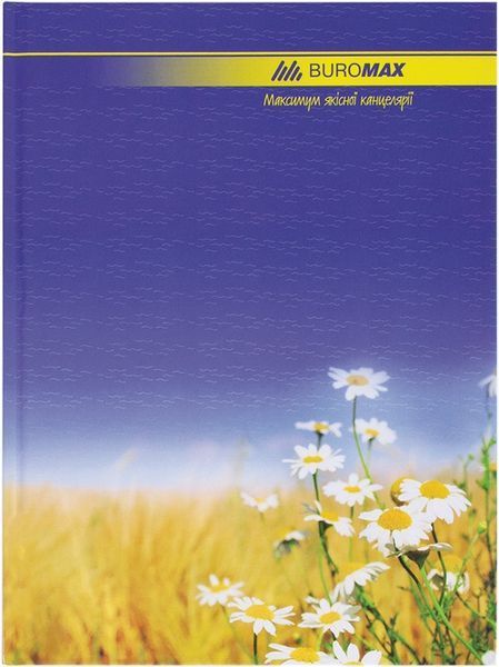 Канцелярська книга А4 Buromax 96 л. лінія лам.обл. для обліку BM.2401 BM.2401 фото