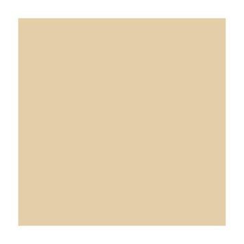 Папір для дизайну A4 Folia Fotokarton 21x29.7см №10 Жовто-коричнева 300г\м2 4823064989335 4823064989335 фото