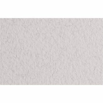 Папір для пастелі A4 Fabriano Tiziano 21x29.7см №27 lama 160г/м2 сіра з ворсинками середнє зерно 8 8001348157854 фото
