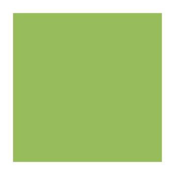 Папір для дизайну B1 Folia Fotokarton70x100cм №51 Світло-зелена 300г\м2 4001868681512 4001868681512 фото