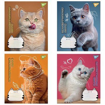 Зошит у лінію 12 л YES Adventurous cats мікс обкладинок (766539) 766539 фото