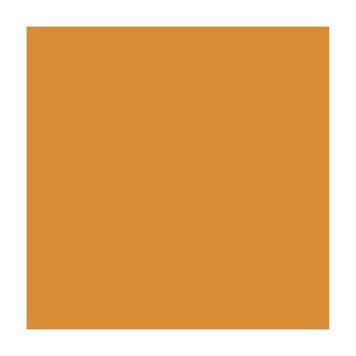 Папір для дизайну A4 Folia Fotokarton 21x29.7см №17 Охра 300г/м2 4823064989892 4823064989892 фото