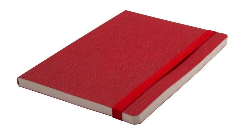 Записна книга блокнот Buromax COLOR TUNES A5 96 л клітина позов.шкіра червоний (BM.295100-05) BM.295100-05 фото