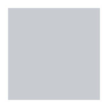 Бумага для дизайна A4 Folia Fotokarton 21x29.7см №80 Светло-серая 300г\м2 4823064990041 4823064990041 фото
