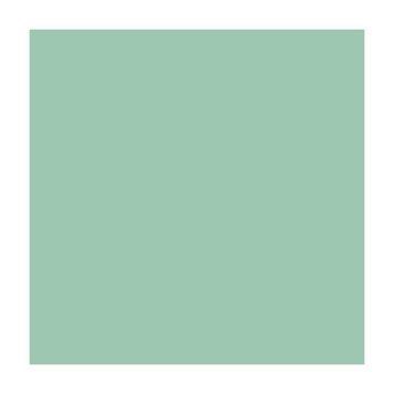 Папір для дизайну B1 Folia Fotokarton70x100cм №25 Зелено-м'ятна 300г\м2 4001868681253 4001868681253 фото