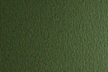 Папір для дизайну А4 Fabriano Elle Erre 21x29.7см №28 verdone 220г/м2 темно-зелена дві текстури 48 4823064981629 фото