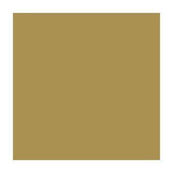 Папір для дизайну A4 Folia Fotokarton 21x29.7см №65 Золота 300г\м2 4823064989007 4823064989007 фото
