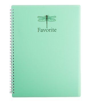 Записна книга блокнот Buromax FAVOURITE PASTEL пластикова обкладинка 80 аркушів А4 клітина м'ятний BM.24452154-38 фото