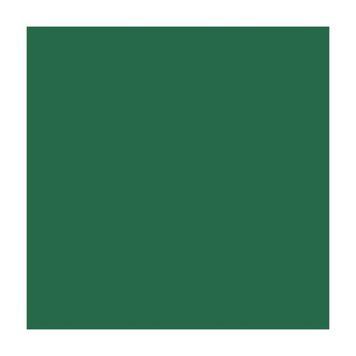 Папір для дизайну B1 Folia Fotokarton70x100cм №58 Хвойно-зелена 300г\м2 4001868681581 4001868681581 фото