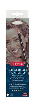 Олівці кольорові Derwent Coloursoft Skintone (відтінки шкіри) 6кол в метал.пеналі (5028252101943) 5028252101943 фото