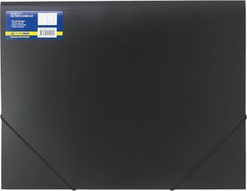 Папка А3 на гумках PROFESSIONAL чорний BM.3918-01 фото