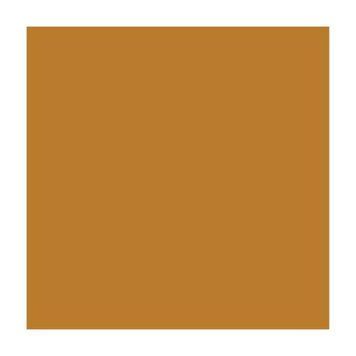 Папір для дизайну A4 Folia Fotokarton 21x29.7см №76 Теракотовий 300г/м2 4823064949209 4823064949209 фото
