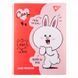 Папка-органайзер із фігурним клапаном на липучці YES Line Friends. Cony A4 (492104) 492104 фото 1