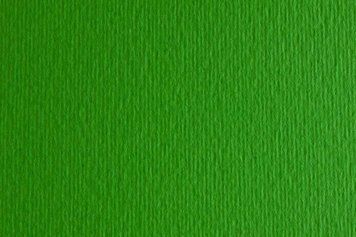 Папір для дизайну B1 Fabriano Elle Erre 70х100см №11 verde 220г/м2 зелена дві текстури 80013481047 8001348104711 фото