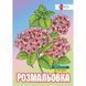 Розмальовка-антистрес Santi Флористика 12 стор. (743058) 743058 фото 1