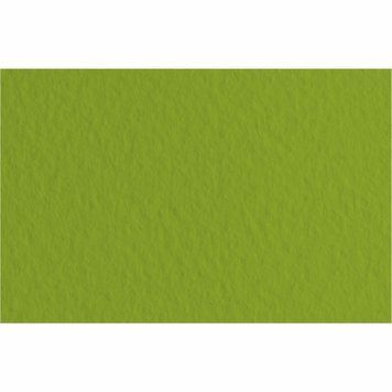 Папір для пастелі A4 Fabriano Tiziano 21x29.7см №43 pistacch 160г/м2 фісташкова середнє зерно 8001 8001348162179 фото