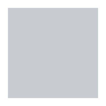 Папір для дизайну B1 Folia Fotokarton70x100cм №80 Світло-сіра 300г\м2 4001868681802 4001868681802 фото